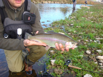 no-kill ales peche a la mouche en cevennes