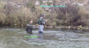 DTC.jpg