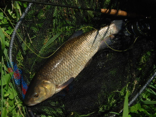 090628081337.jpg