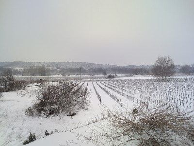 PICT0008