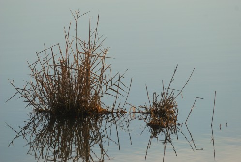 DSC_0022.jpg
