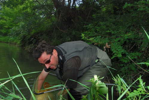 2010 0056-copie-1