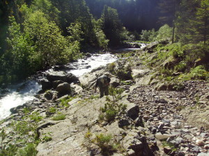 IMGP0002