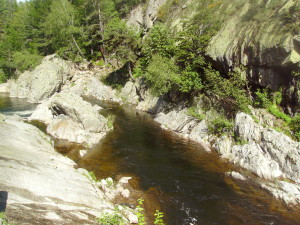 IMGP0011
