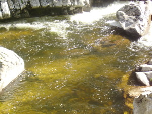 IMGP0018