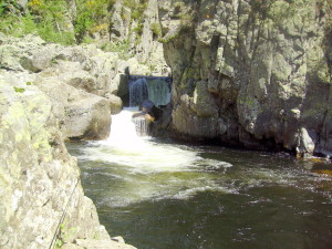 IMGP0037