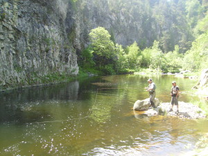 IMGP0039