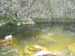 IMGP0041