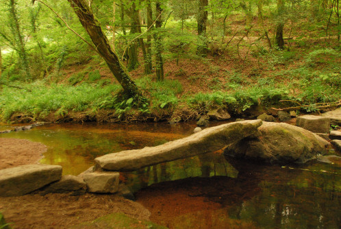 2010 0055-copie-1