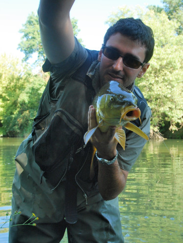 2010 0083-copie-1