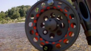 carpe streamer3