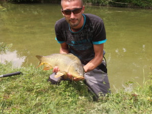 carpe a la mouche