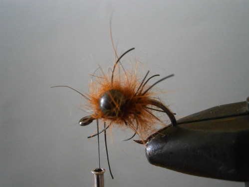 fiche de montage mouche a carpe