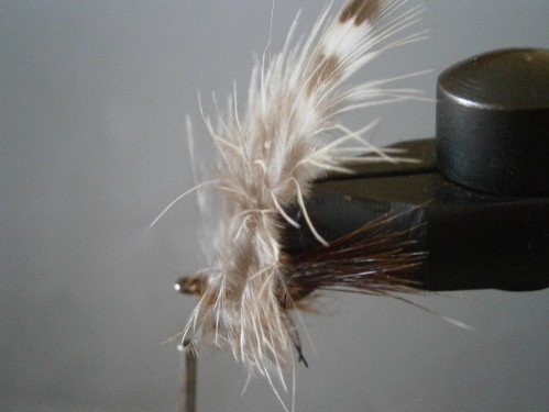 fiche de montage mouche a carpe