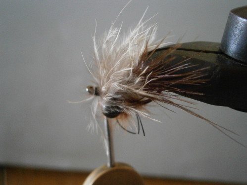 fiche de montage mouche a carpe