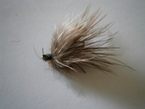  mouche a carpe la carper 2