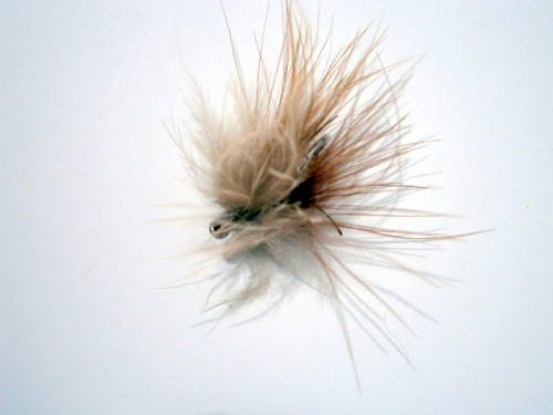 mouche a carpe la carper 2