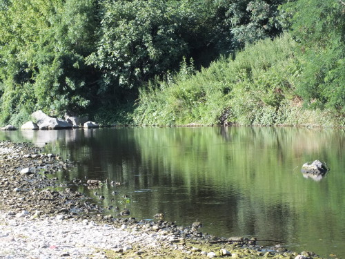 DSCF5571.JPG