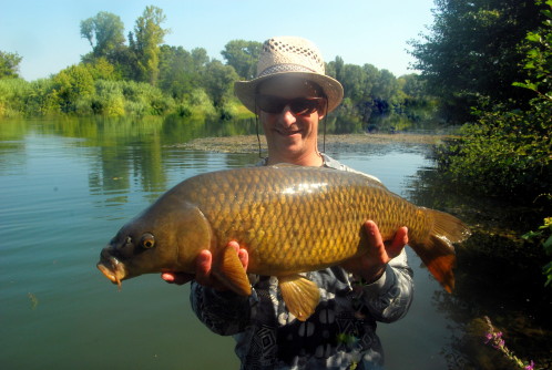 Carpe a la mouche