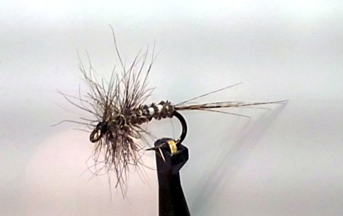 21022013246.JPG
